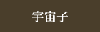 宇宙子